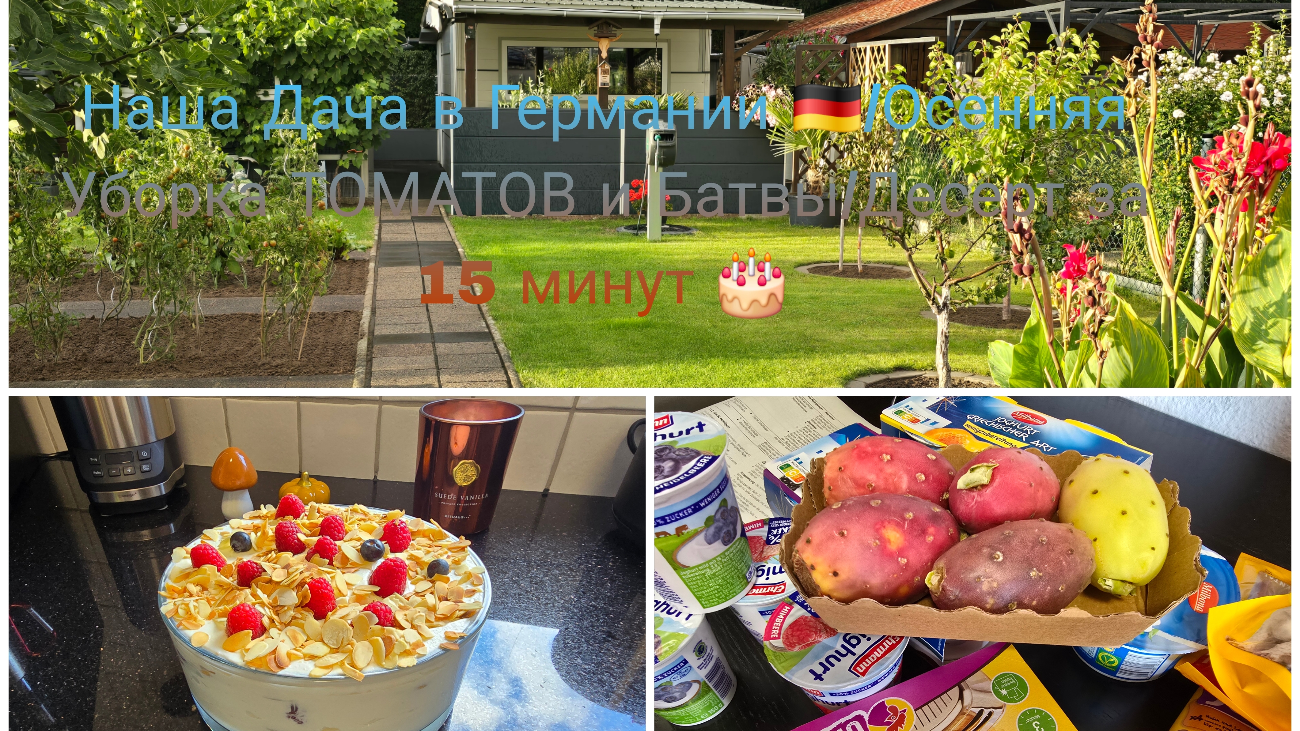 Торт Десерт 🎂🔥Небольшая Закупка 🛍Наша Дача в Германии/убираю участок /Томатную 🍅Батву смотреть онлайн