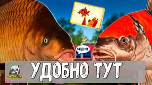 RF4 На этом водоёме очень удобно рыбачить #рр4