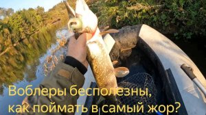 Применяю по щуке подсказки подписчиков. Работает этот прием с одной приманкой. И настал жор.