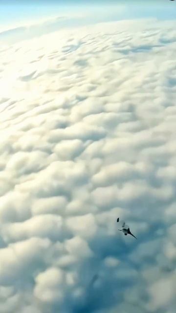 Красота в полете