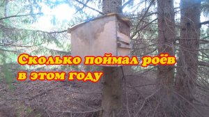 СНИМАЮ ЛОВУШКИ ДЛЯ ЛОВЛИ РОЁВ, ИТОГ ПОЙМАННЫХ РОЁВ ЗА 2025 ГОД. 3 Часть ЗАКЛЮЧИТЕЛЬНАЯ.