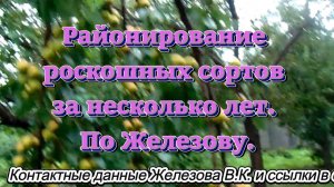Районирование роскошных сортов за несколько лет. По Железову.