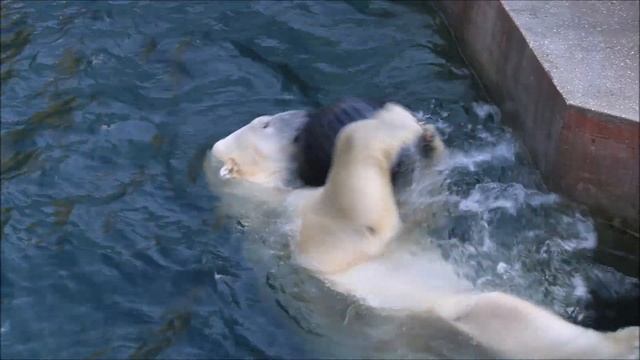 Кай играет то с чёрным шаром, то с белым 11.09.2025 смотреть онлайн