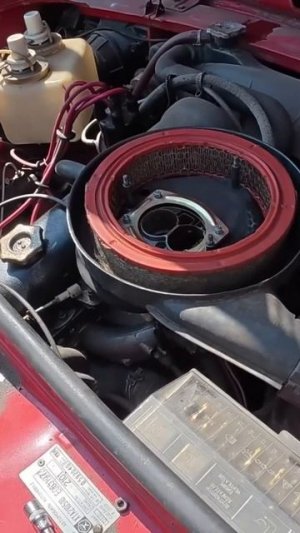 TG: nexpertGM ГАЗ В ПОЛ! #shorts #независимыйэксперт #георгиймедведев