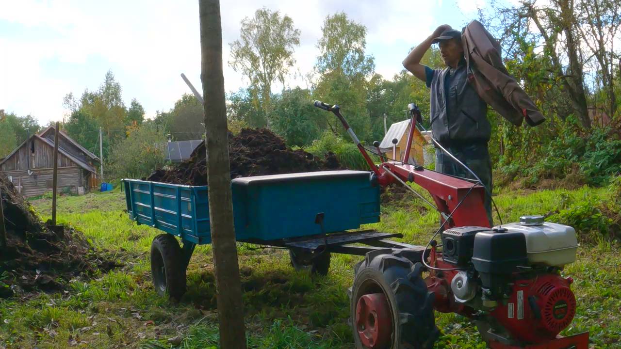Возим с Беларусом навоз и испытание 