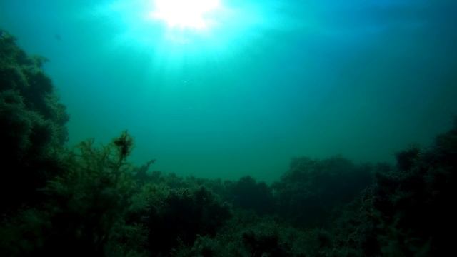 Черное море подо льдами Европы. смотреть онлайн