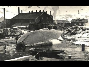 Настоящая история Александровска, или кто и зачем скрывает артефакты древности.