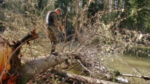 Вот это контент!