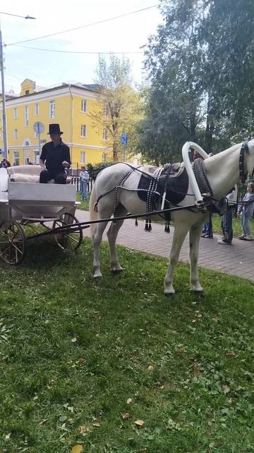 Петровская Москва в Измайлове бал, ремёсла и квесты одной субботы (10) смотреть онлайн