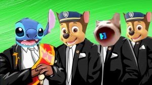 Lilo and Stitch & Paw Patrol & Meme Cat - Coffin Dance (Cover)
