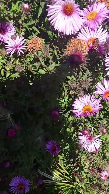 Ля, какая красота!!!