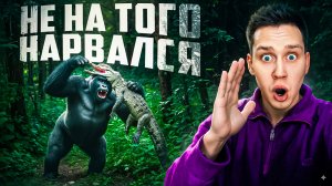 Когда животные связались не с тем соперником