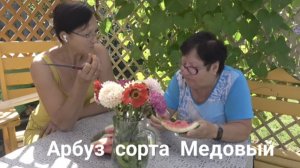 6 соток 10 сентября 2025 года. 2 часть.