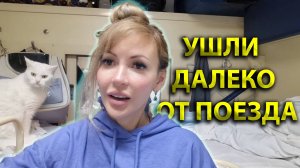 Поезд Москва Лазаревское 🚆 Решились на длительный поход из поезда 😱 Из первого вагона в последний