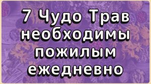 7 трав которые омолаживают клетки мозга. 🥰