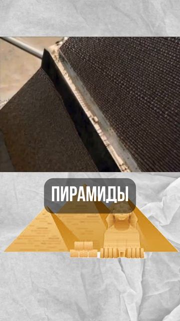 как работает перепись населения