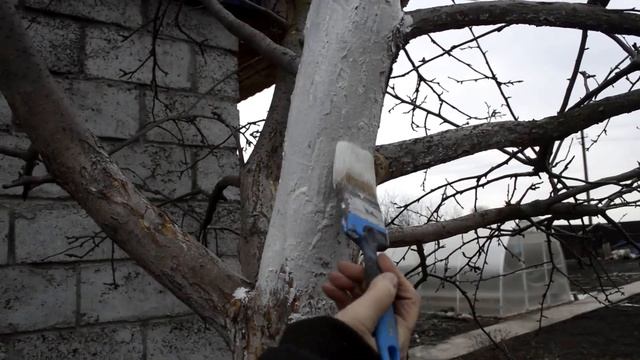 Дача Риммы.Ка (пилотный выпуск)