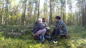 С ДЕВЧОНКАМИ ЗА ГРИБНОЙ ИКРОЙ! КРАСНОГОЛОВИКИ ИДЕАЛЬНЫЕ! ГУЛЯЕМ В МАЛЕНЬКОМ БОРУ, СБОР ГРИБОВ 2025!