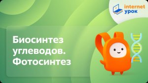 Биология 9 класс. Биосинтез углеводов. ­Фотосинтез