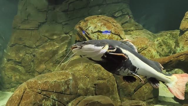 Влог Из Казани