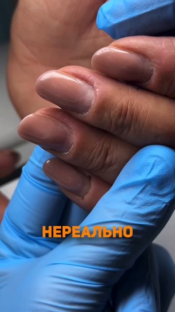 Высказалась