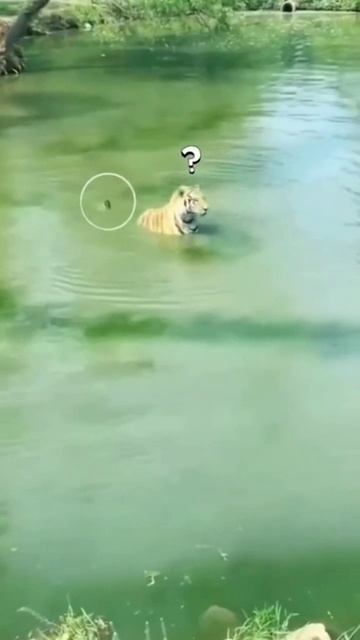 Охотник смотреть онлайн