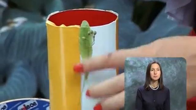 Букет. Выпуск 116 смотреть онлайн