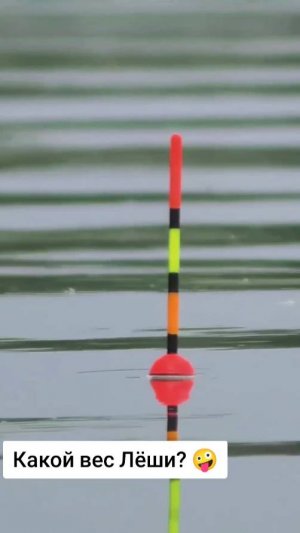ОГРОМНАЯ РЫБА НА поплавок! Как думаете, какой вес? Рыбалка 2025