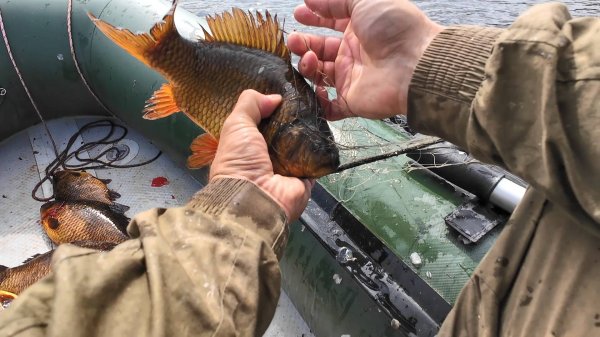 ПРОВЕРКА СЕТЕЙ НА ОЗЕРЕ. ЛОВЛЯ РЫБЫ НА СТАВНЫЕ СЕТИ. СЕГОДНЯ БУДЕМ ЖАРИТЬ РЫБУ.