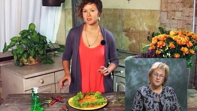 Букет. Выпуск 104 смотреть онлайн