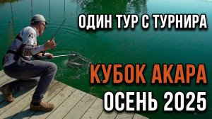 Один тур с турнира по ловле прудовой форели Кубок АКАРА осень 2025