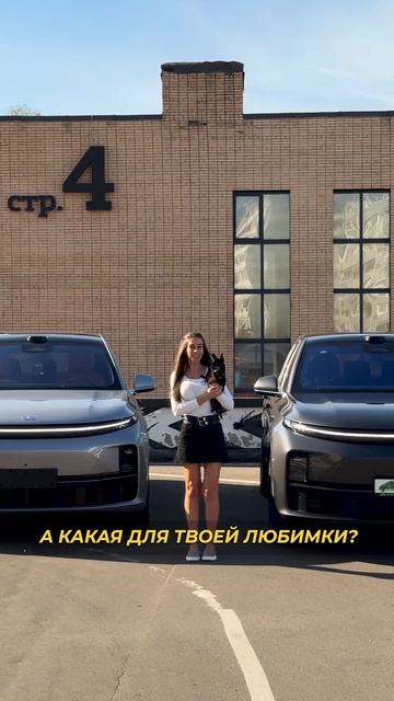 1️⃣Lixiang — это удовольствие. А 2️⃣ — это уже счастливая семья.