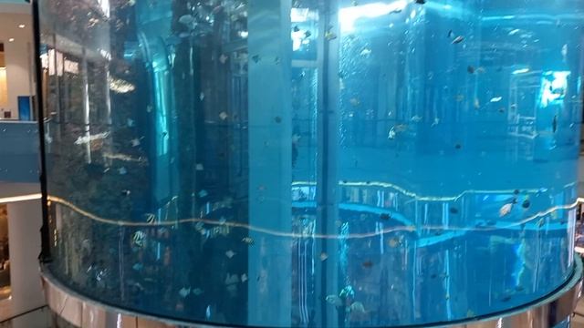 ТРК "Океания" смотреть онлайн