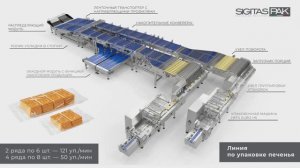 Линия упаковки печенья в стопки HFFS EURO-HS