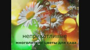 Ленивый цветник. Неприхотливые многолетники в вашем саду.