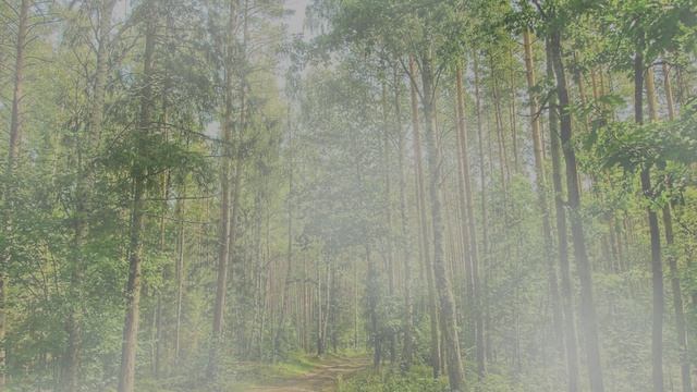 Футаж. Летний пейзаж 31 смотреть онлайн