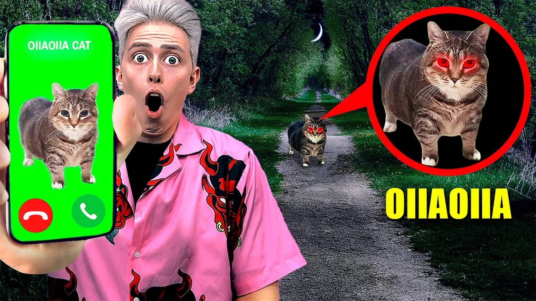 НИКОГДА НЕ ЗВОНИ OIIAOIIA CAT в 3:00 ночи! **проклятый кот**