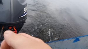 sea pro f 9.8 четырёхтактный лодочный мотор