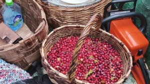 Продолжение поездки с детьми на болото.