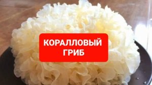 Как приготовить коралловый гриб,ледяной гриб#ежовик
