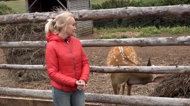 Посёлок Пешелань | Уникальные места России смотреть онлайн