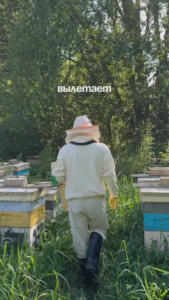 Это любовь 🫶🏻