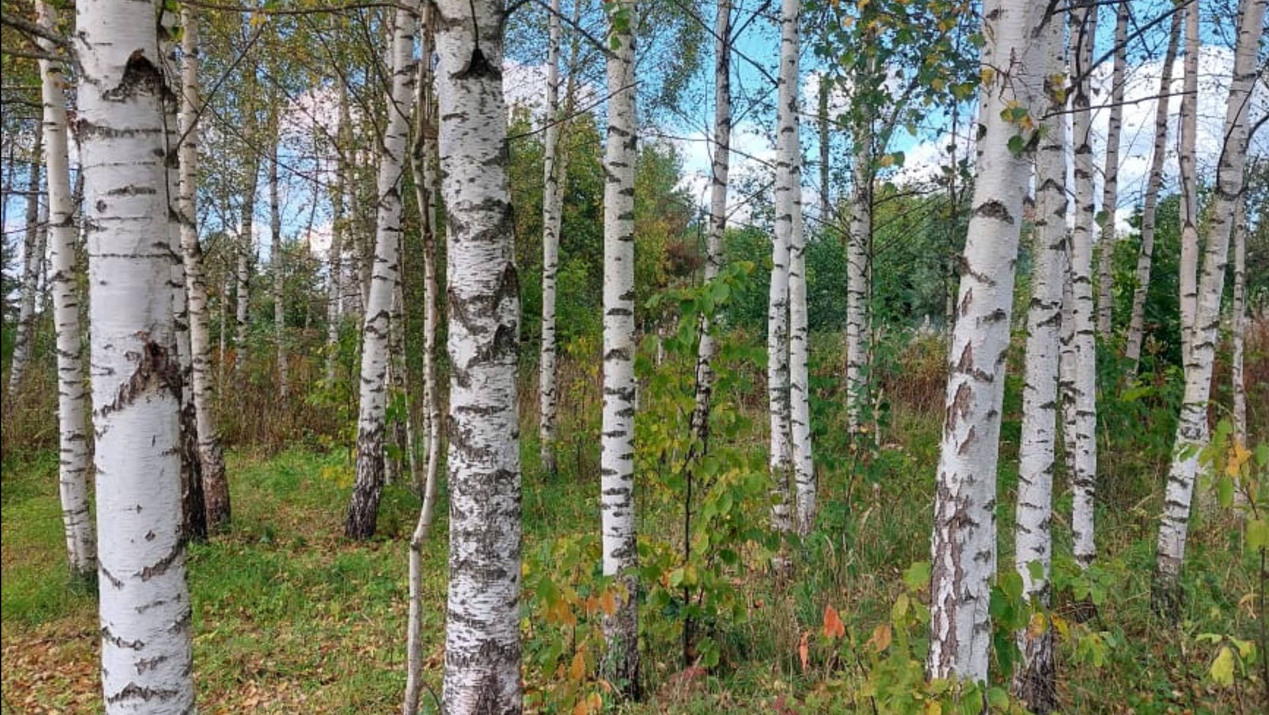 Сережа балует рыбкой! Крысу победила! смотреть онлайн