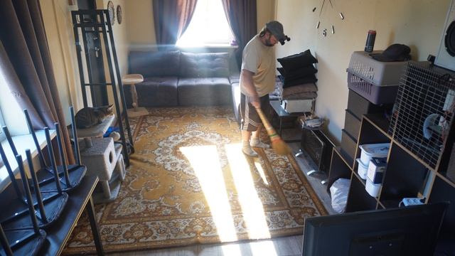 УБОРКА У КОШЕК В ДОМИКЕ смотреть онлайн