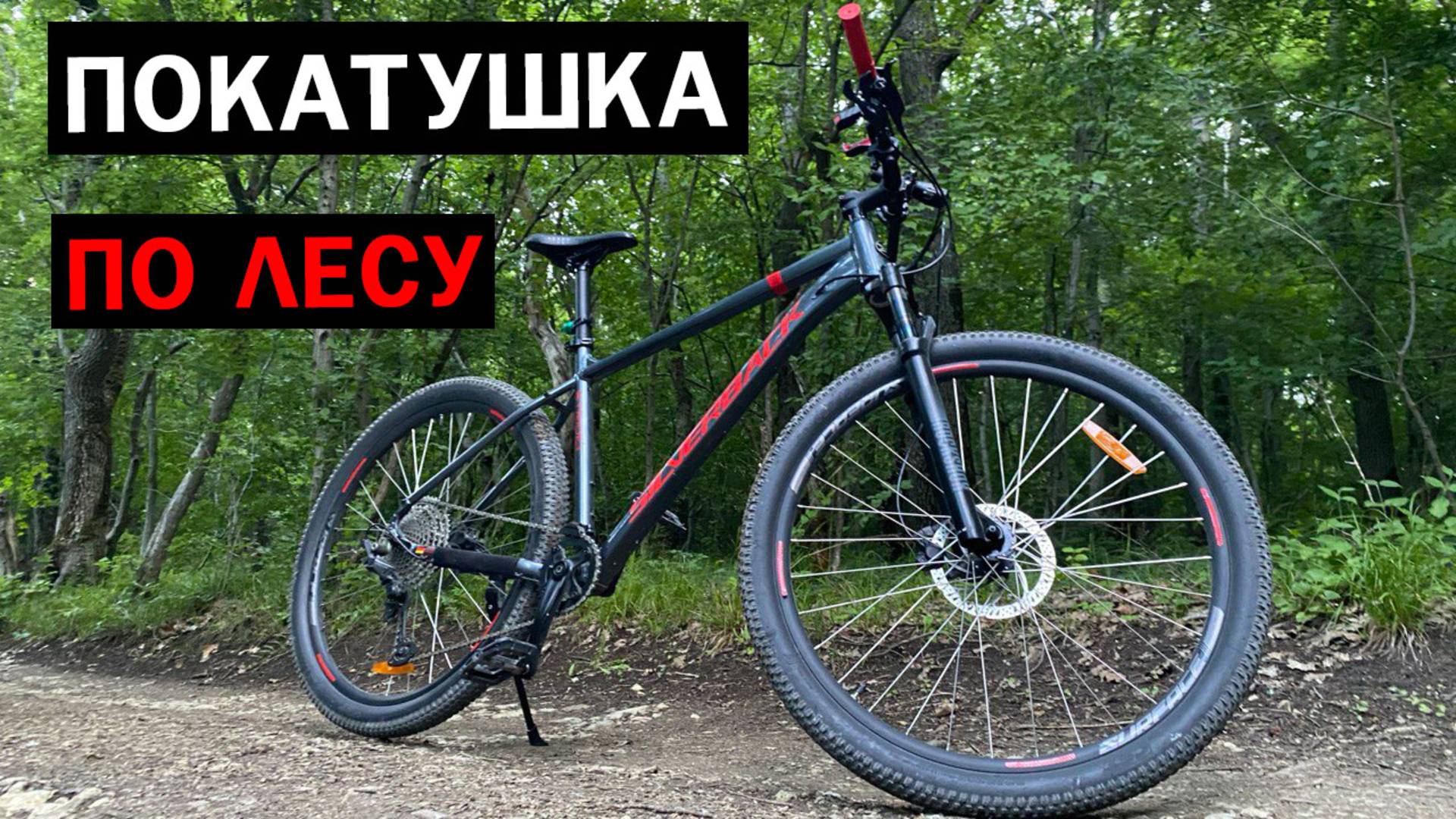 ПОКАТУШКА / ПО ЛЕСУ НА МТБ / 06.07.25 #1 #мтб #велосипед #новороссийск #велосипедисты