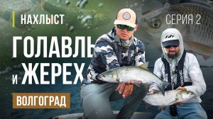 ВОЛГОГРАД ловля ЖЕРЕХА и ГОЛАВЛЯ нахлыстом. Андрей Старков, мушки для этой акватории. Серия 2