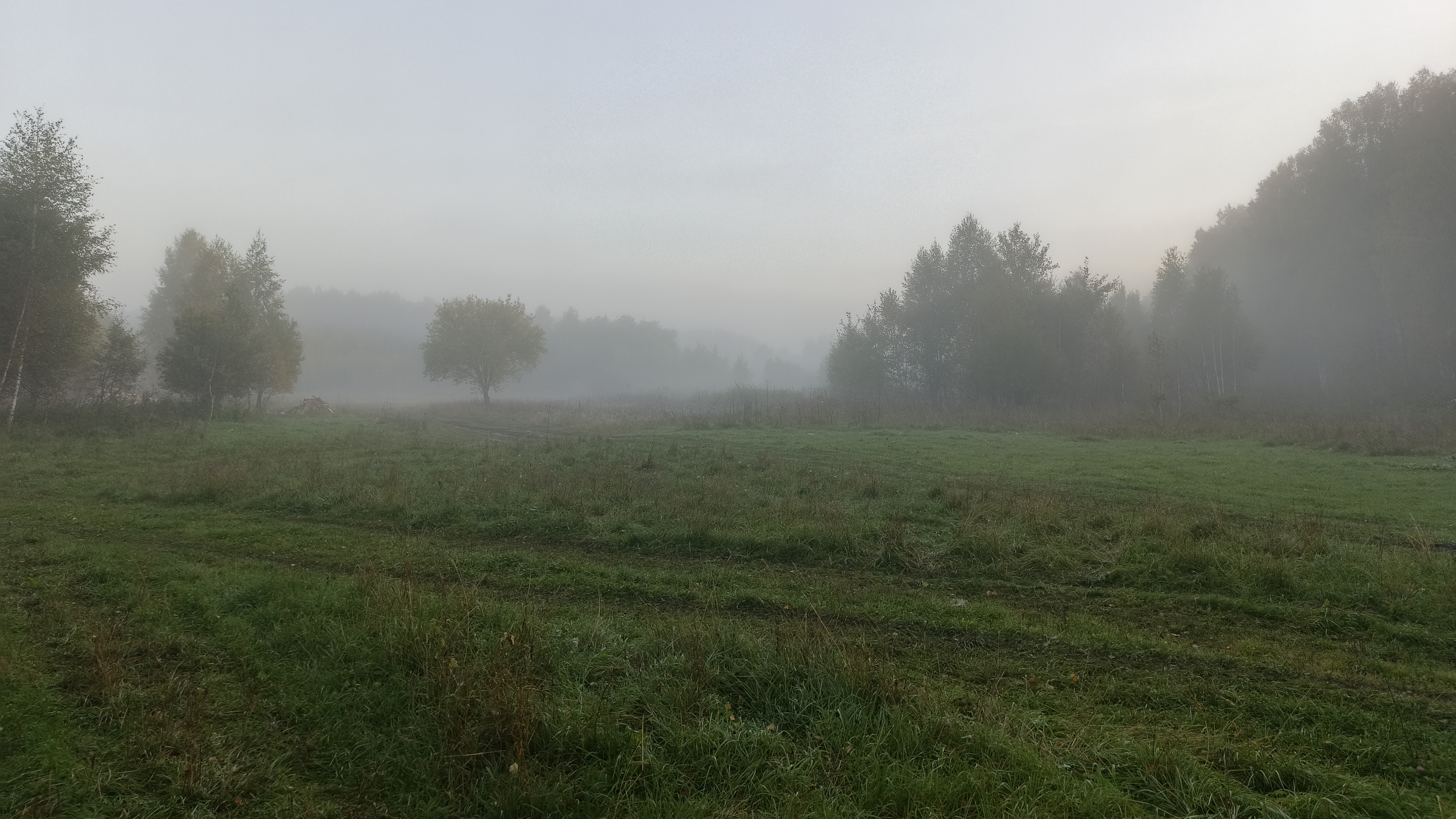 Осеннее утро в Сибири