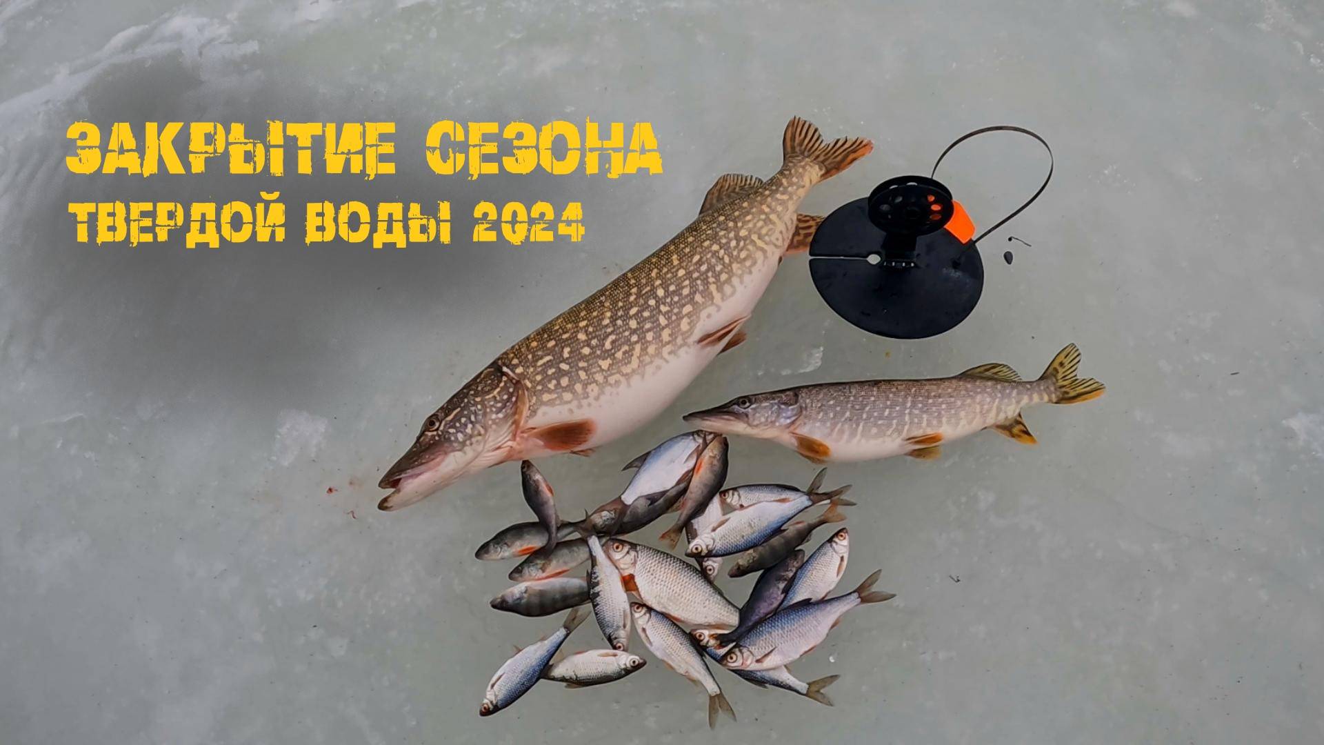 Щучья мамка на жерлицы! Закрытие зимнего сезона 2024, р.Кама