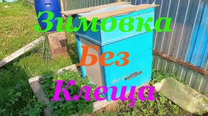 Как я осенью уничтожаю клеща на пчёлах
