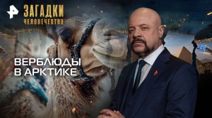 Верблюды в Арктике — Загадки человечества с Олегом Шишкиным (15.09.2025)